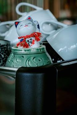 phỏm di động 8Day